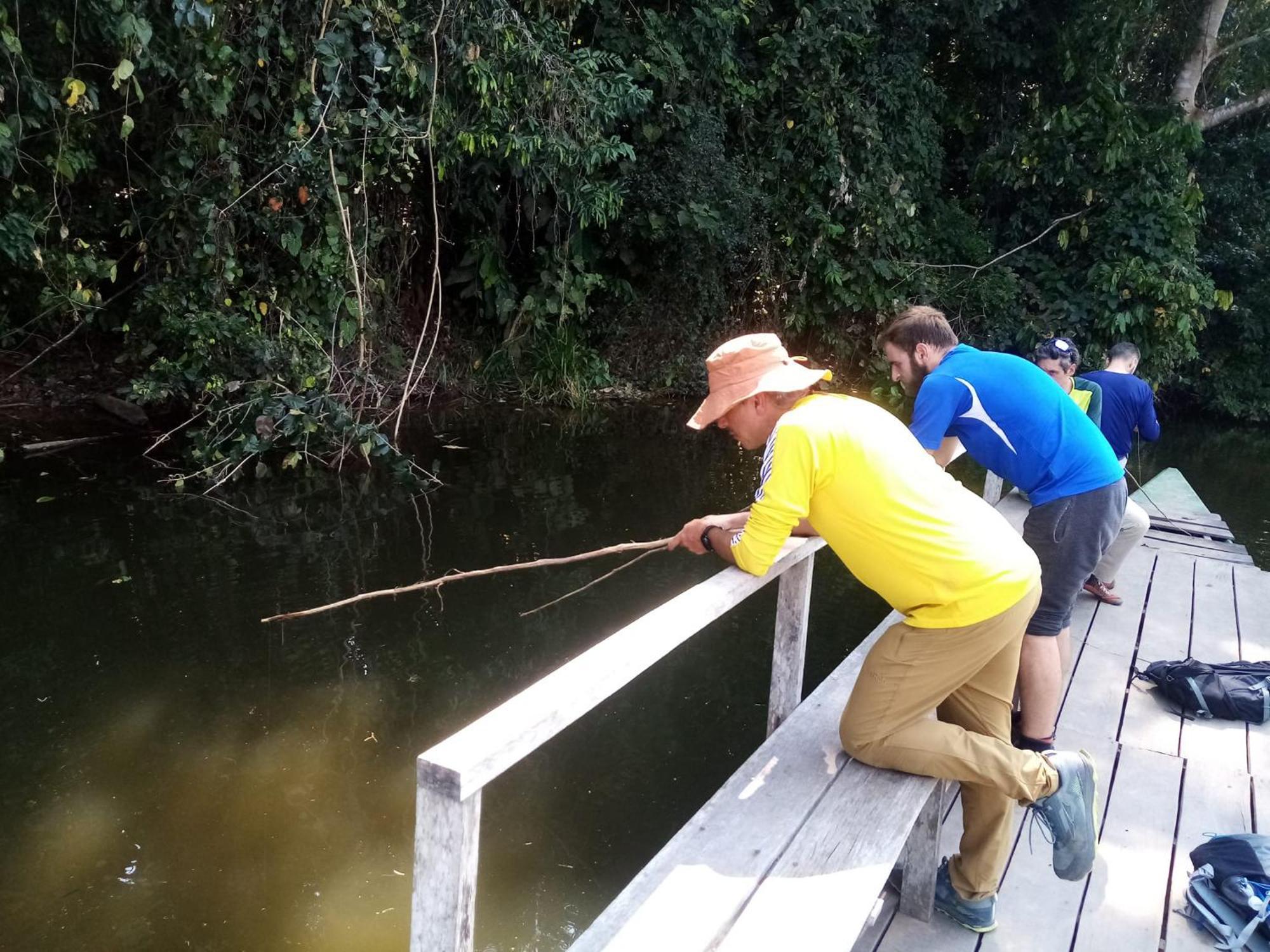 Inotawa Lodge Tambopata Luaran gambar